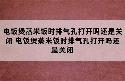 电饭煲蒸米饭时排气孔打开吗还是关闭 电饭煲蒸米饭时排气孔打开吗还是关闭